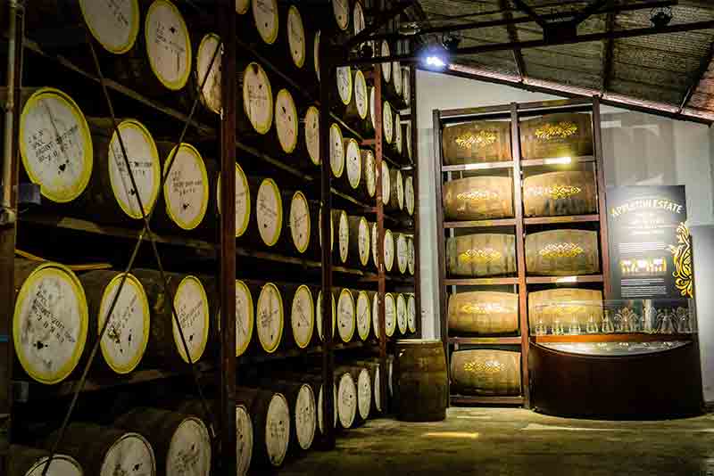 Rum barrels Appleton Estate Rum Distillery Jamaica