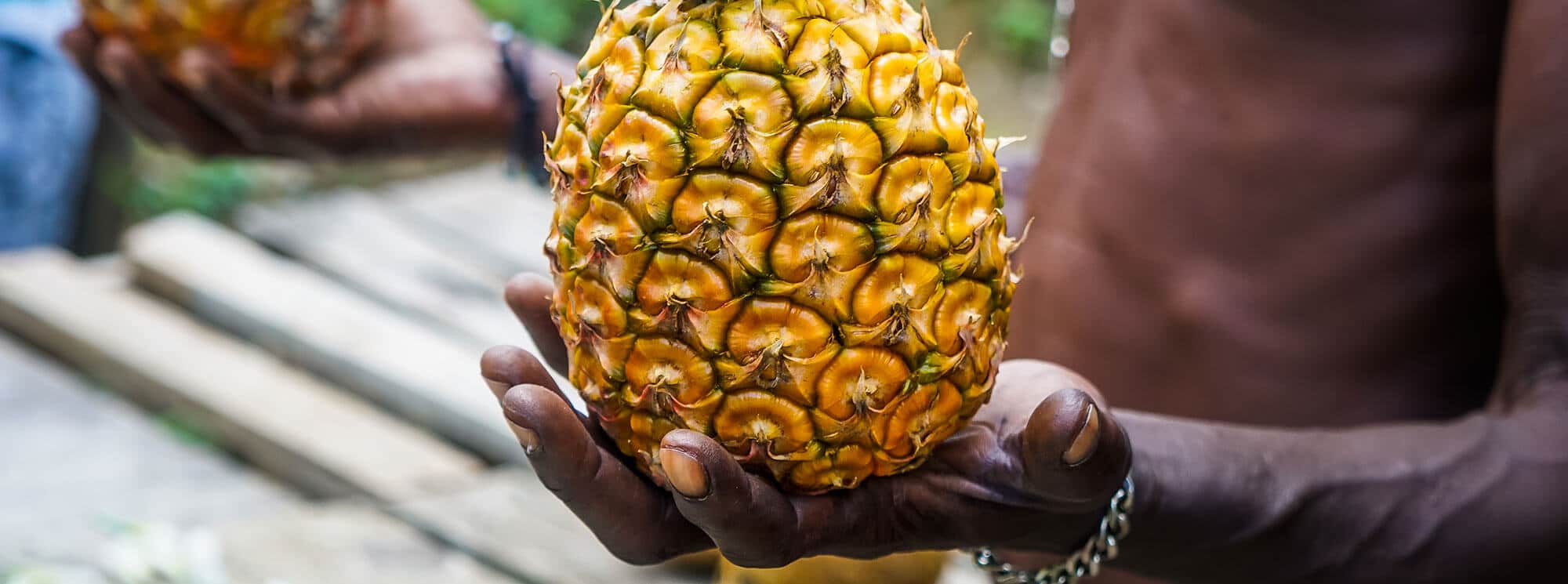 Jamaican pineapple, Jamaica destinations