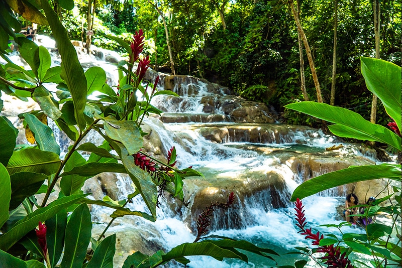 Dunns River Falls Ocho Rio, Jamaica