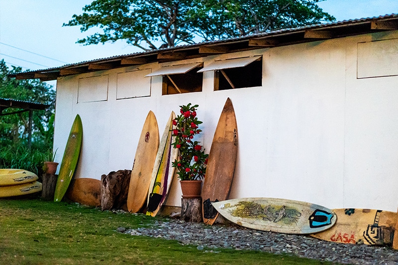 Surfboards at The Longboarder Bar & Grill Saint Thomas, Jamaica